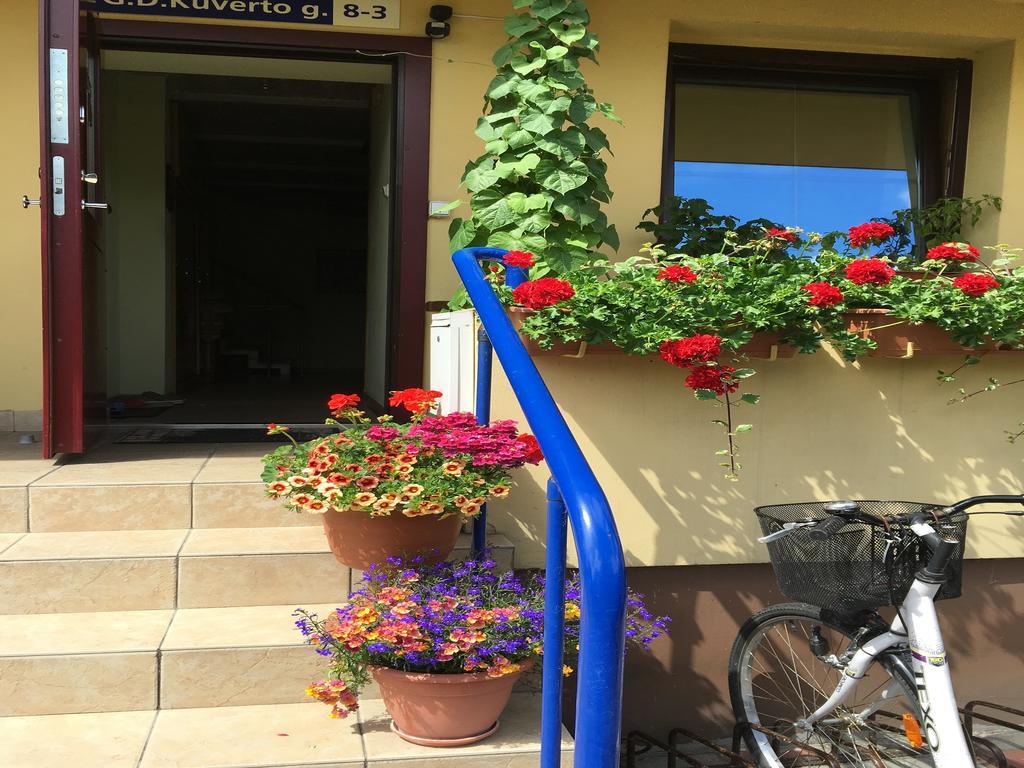 נידה Apartamentai Viktorija מראה חיצוני תמונה